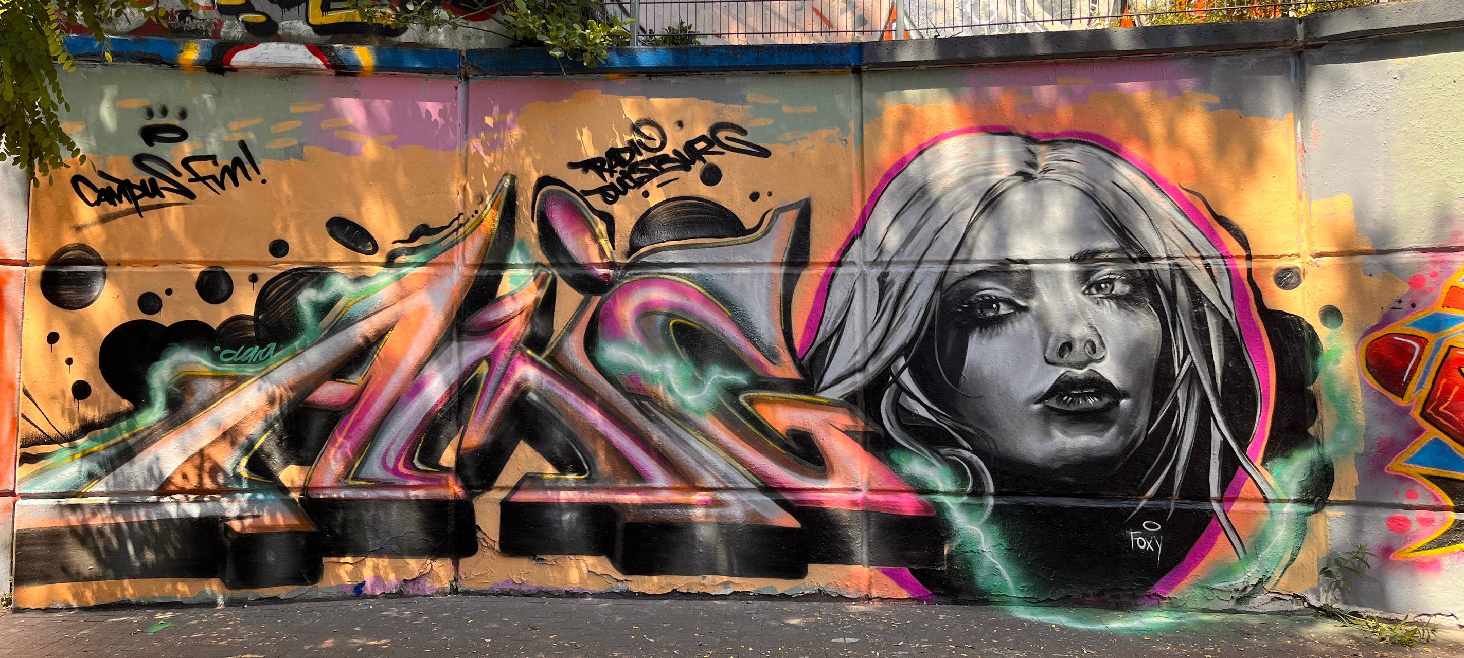 Graffitis in Duisburg - nicht nur Schmierereien