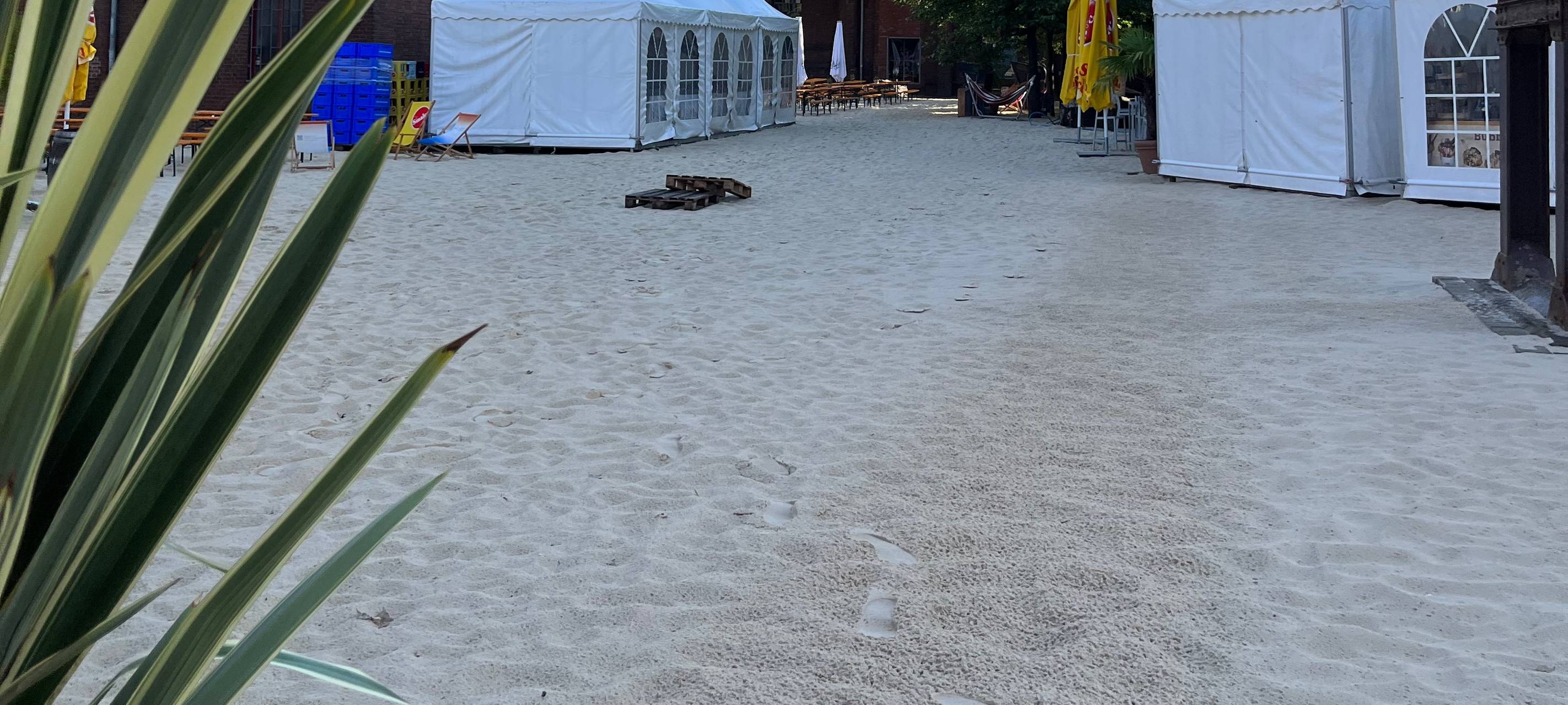 Stadtwerke Sommerkino beginnt heute