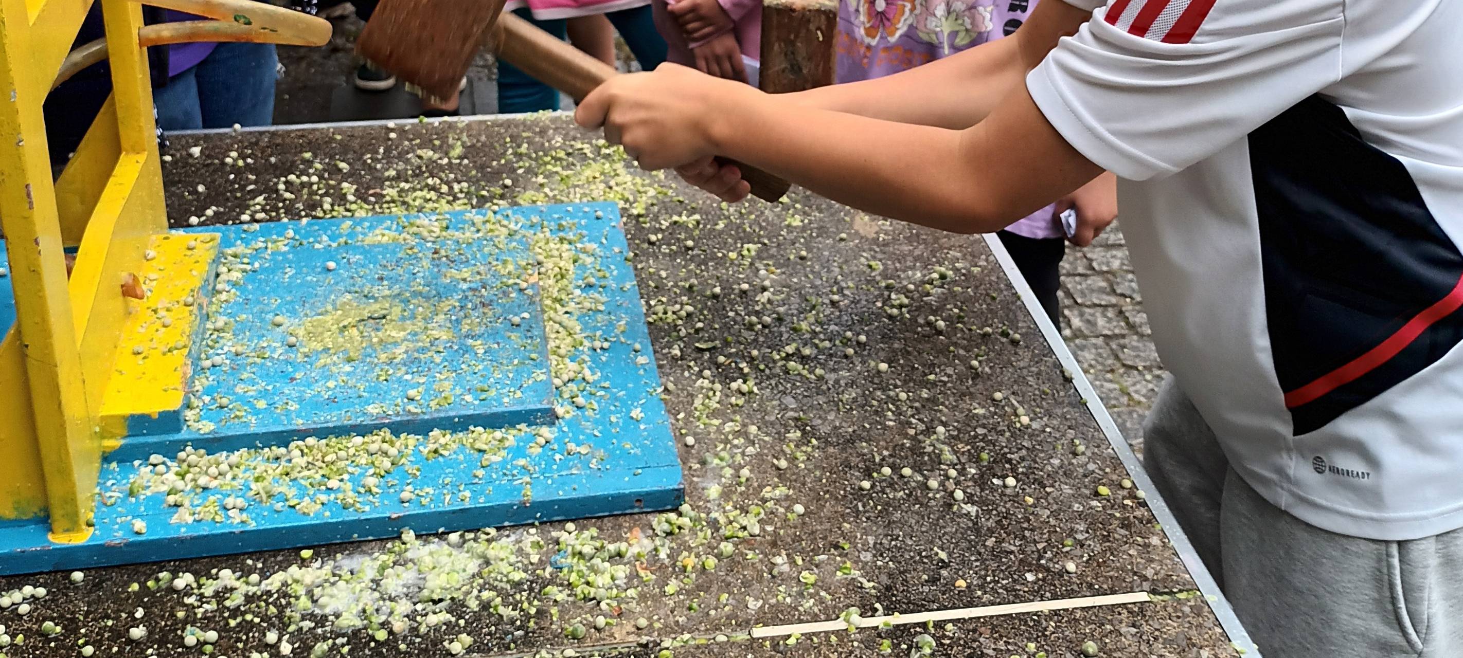 Stadtranderholung in Duisburg: Es geht um die letzten Plätze