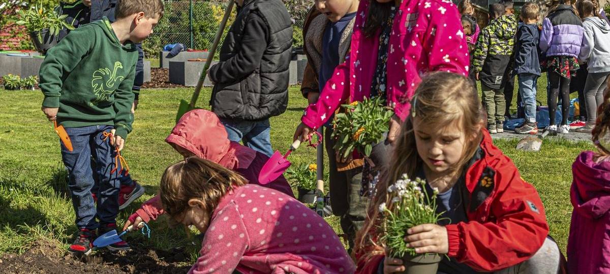 "Grünes Klassenzimmer Duisburg" öffnet für Schülerinnen und Schüler