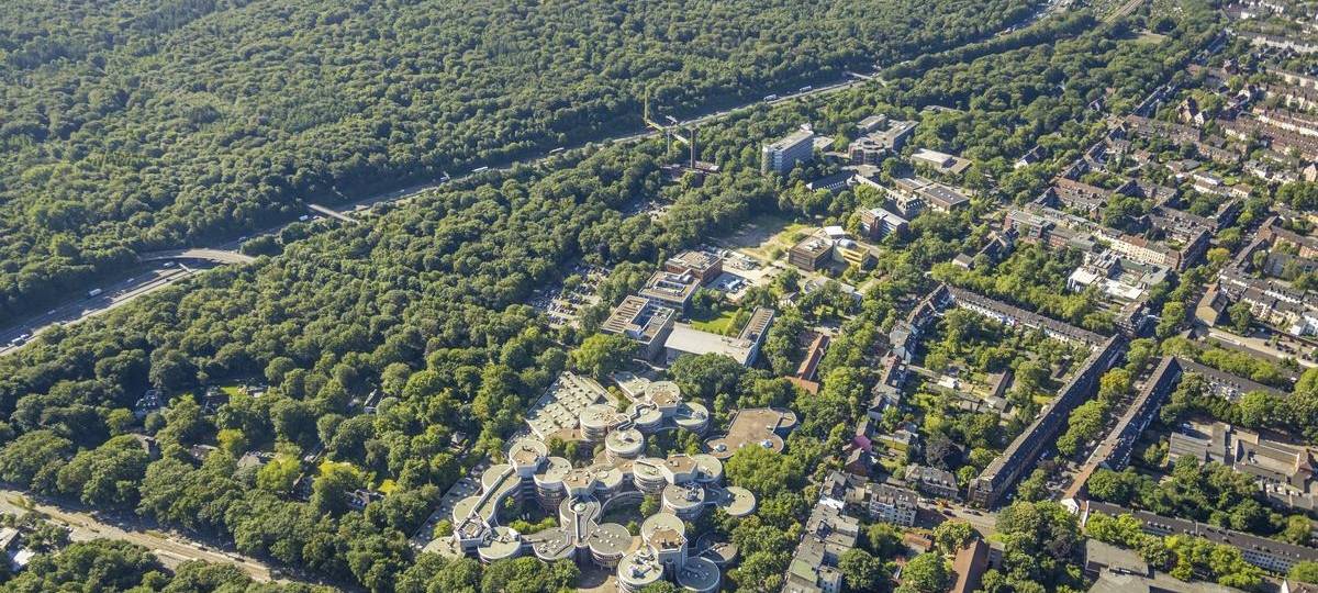 Duisburger Wald reicht der verregnete Sommer nicht aus