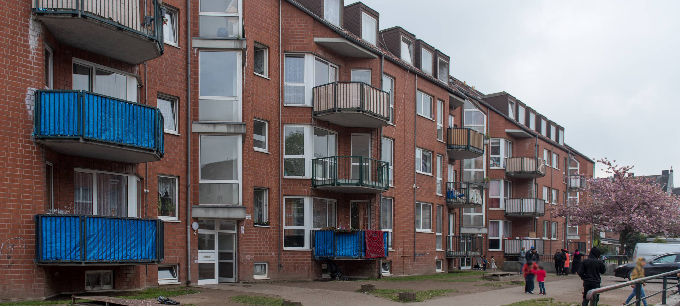 Zahlreiche Sozialleistungsbetrüger erwischt