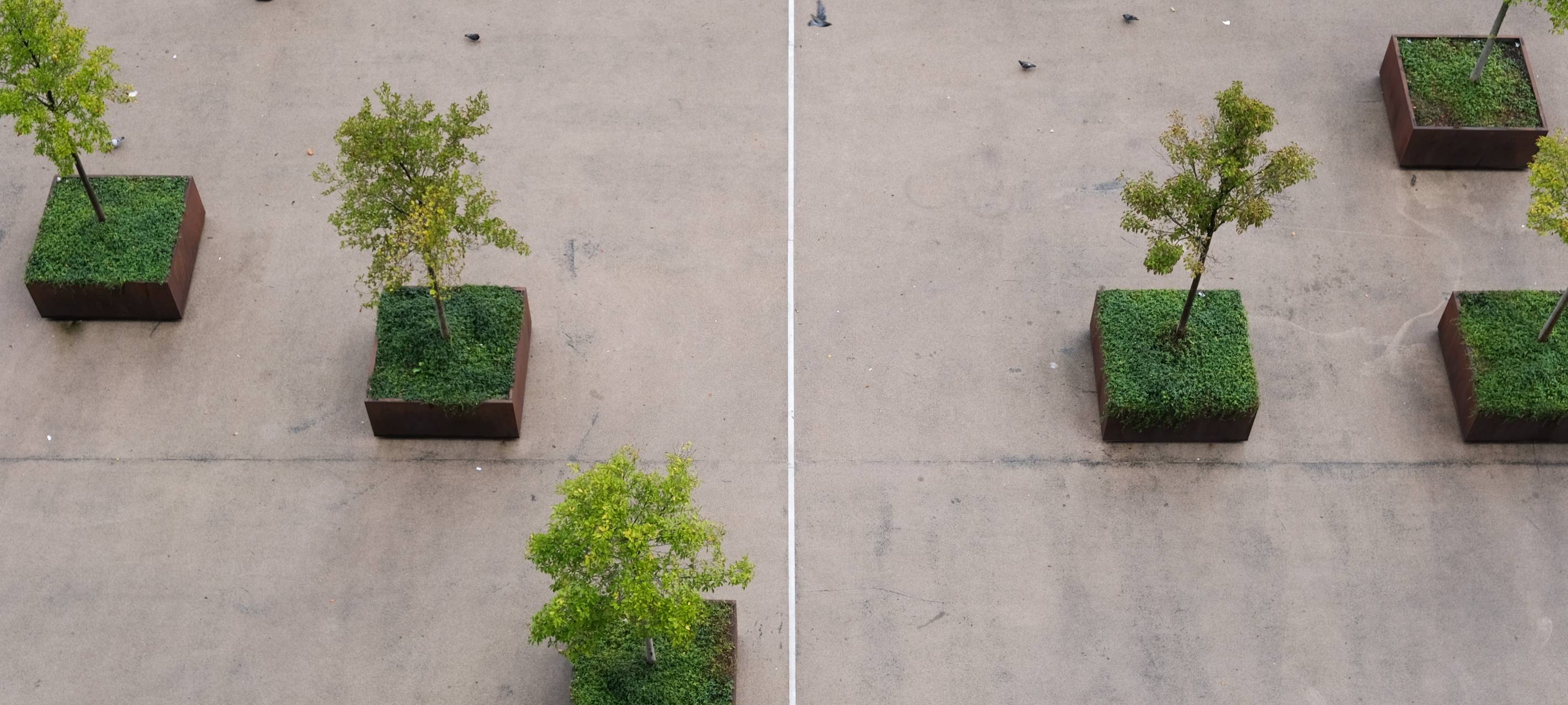 Hitze und Starkregen: Stadtplanung und Klimawandel in Duisburg