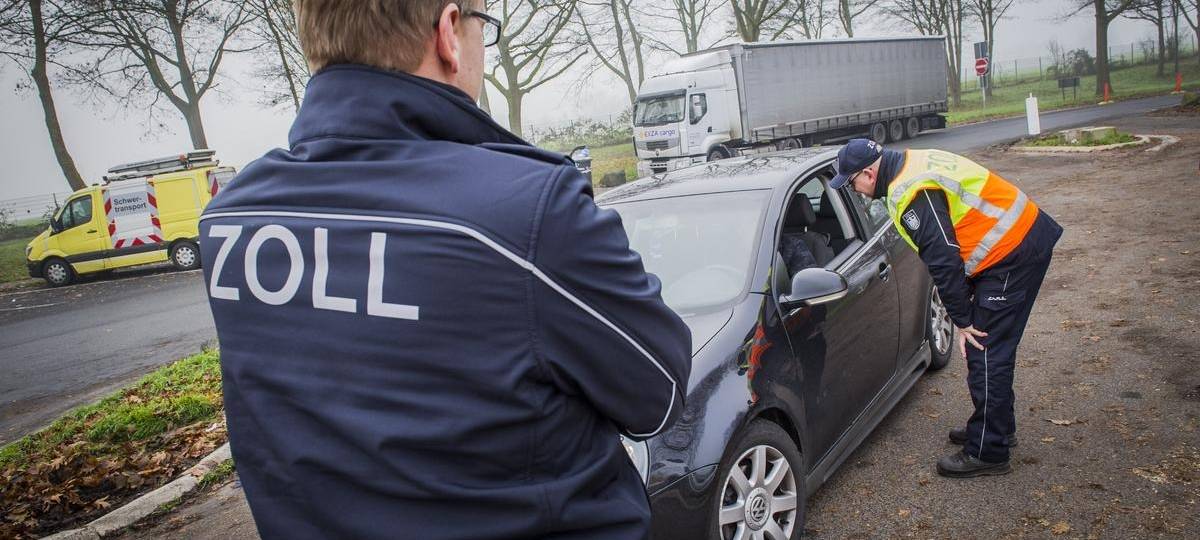 Zoll Duisburg stellt mehrere hundert Cannabispflanzen sicher