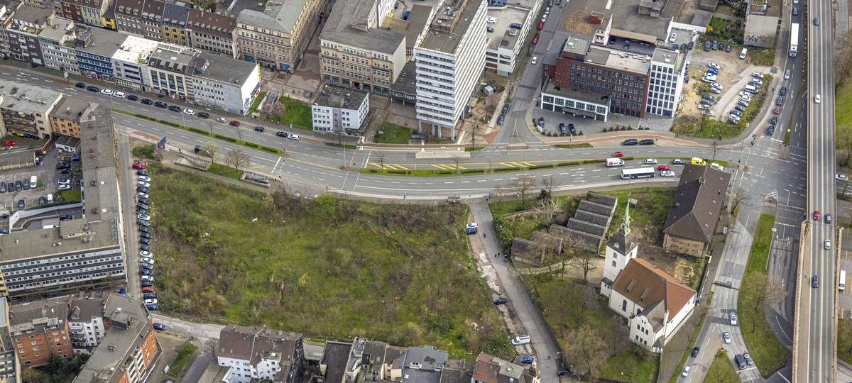 Steinsche Gasse: Rodungsarbeiten beginnen