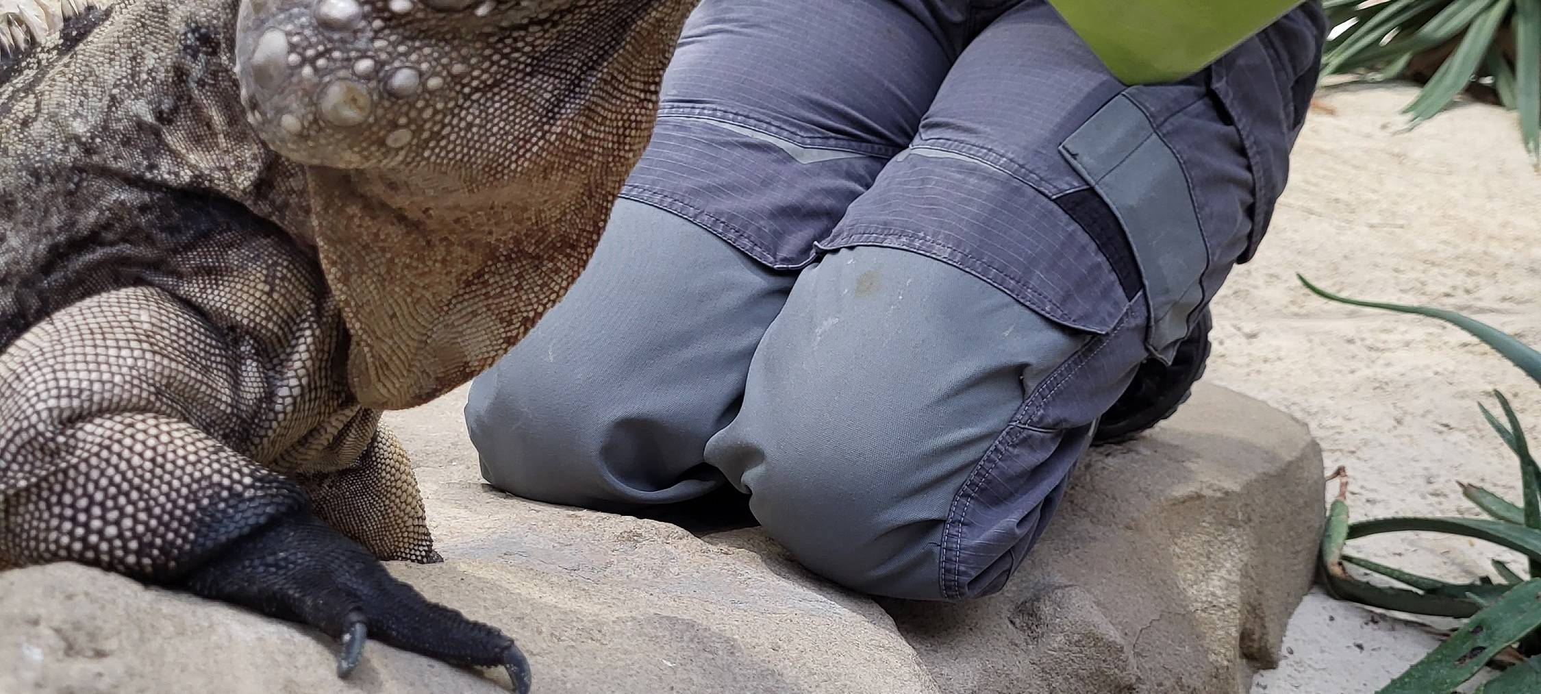 Tierische Inventur: So viele Tiere leben im Zoo Duisburg