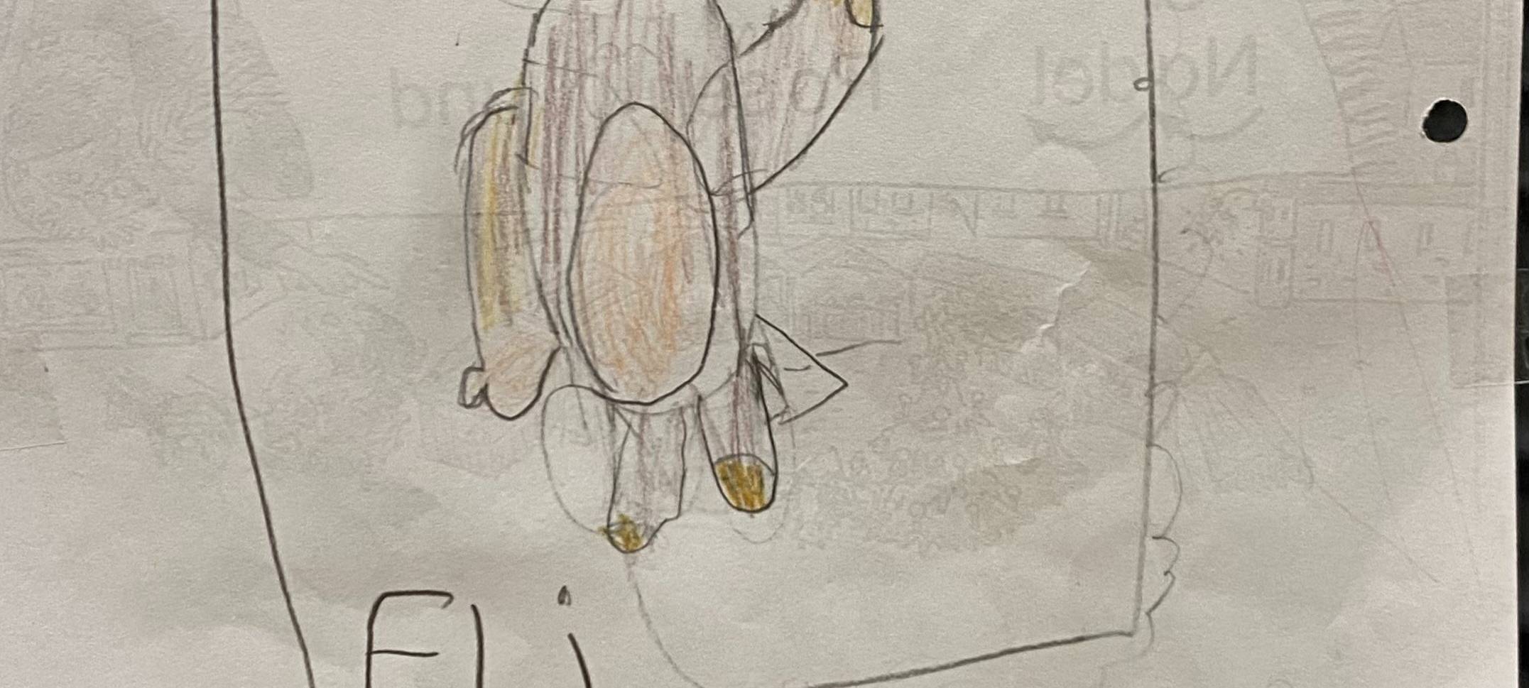 Wo ist Eli? Klassentier verschwunden