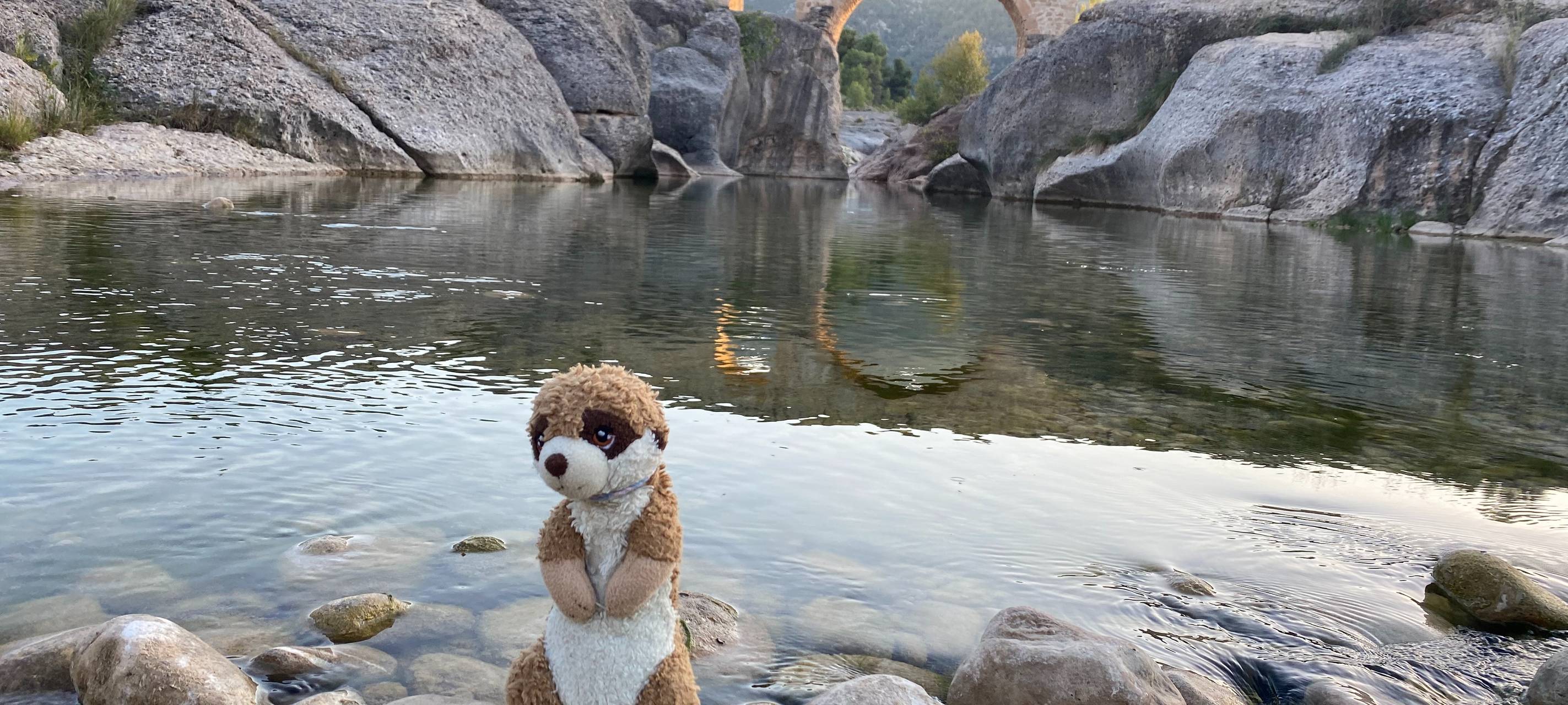 Wo ist Eli? Klassentier verschwunden