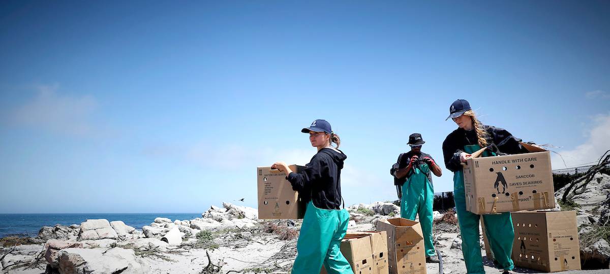Zoo-Schützling erfolgreich ausgewildert