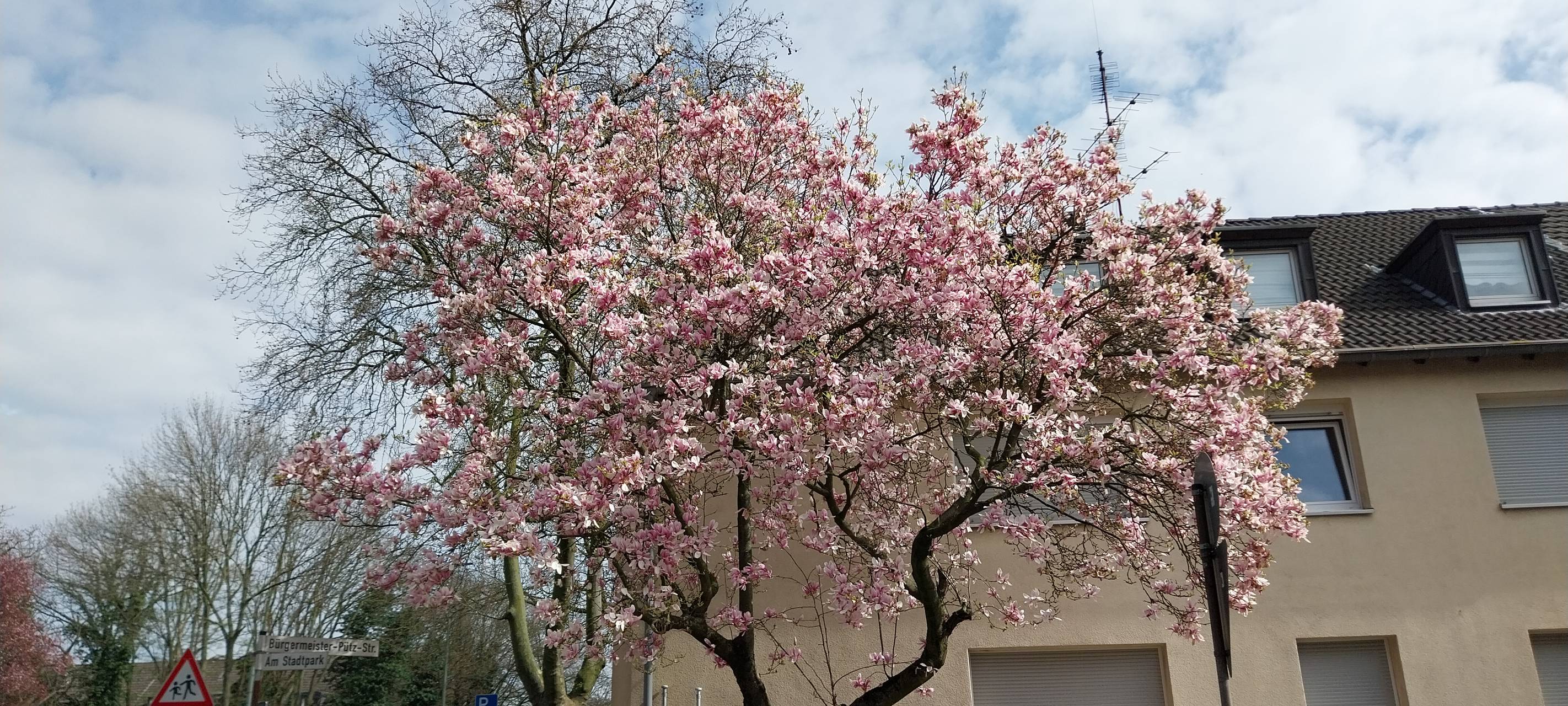 Der Frühling beginnt