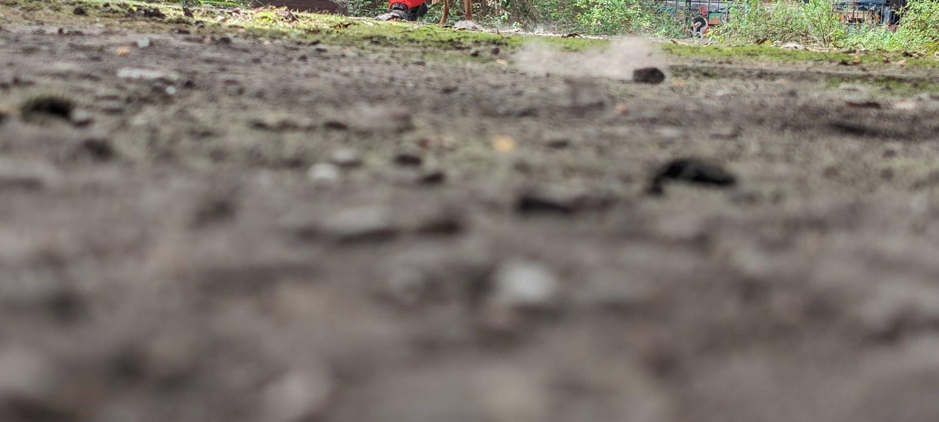 Malteser bauen eine Rettungshundestaffel auf