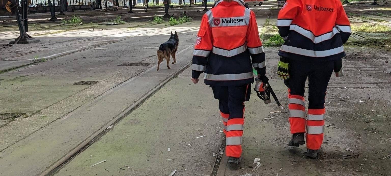 Malteser bauen eine Rettungshundestaffel auf