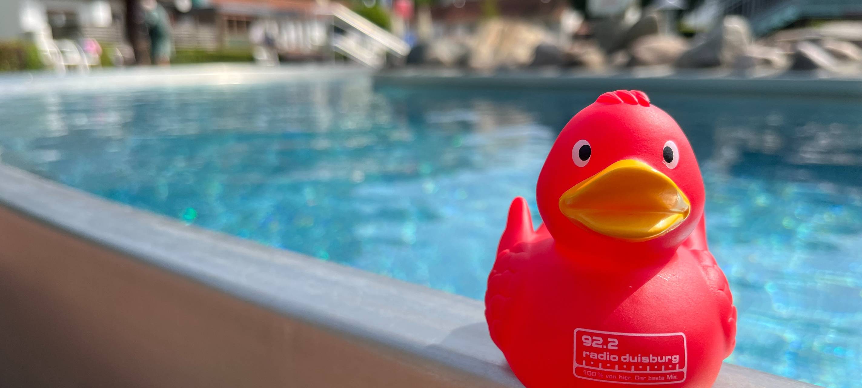 Ente Dieter macht Urlaub - mit euch!