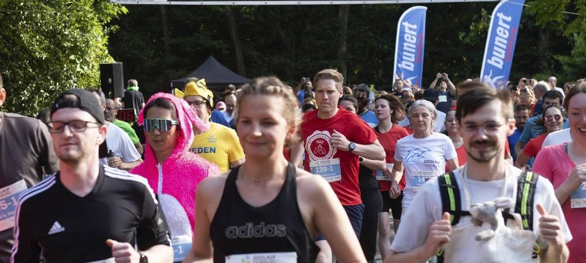 15. Zoolauf : Mehr Teilnehmer und eine Neuheit