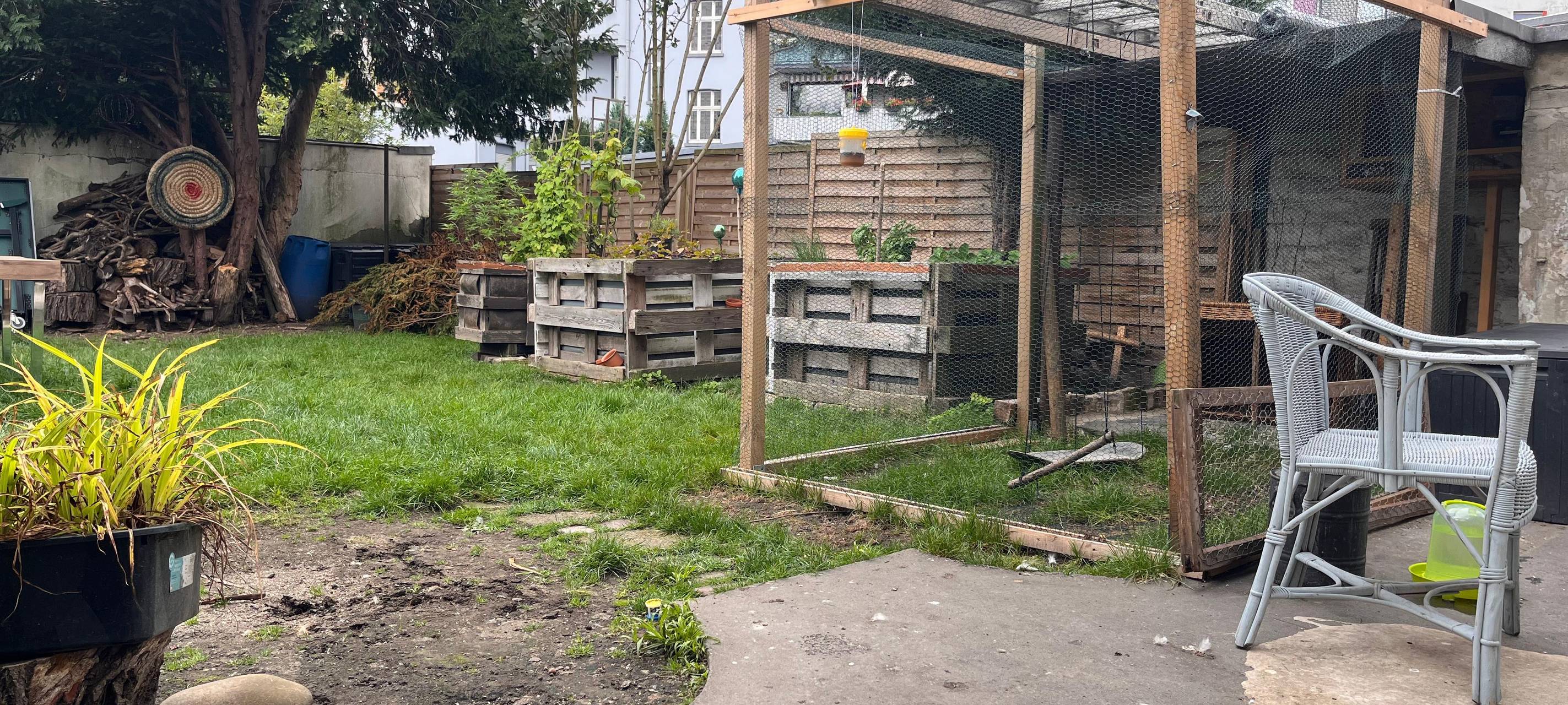 Meiderich: Hühner gestohlen und geköpft