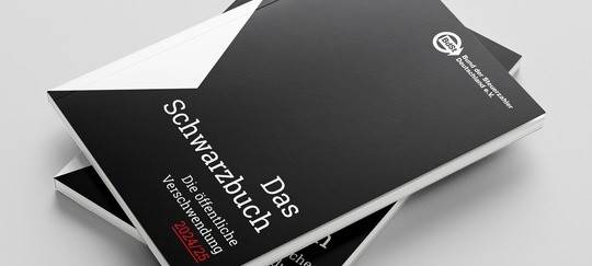 Duisburg wieder im Schwarzbuch der Steuerverschwendung