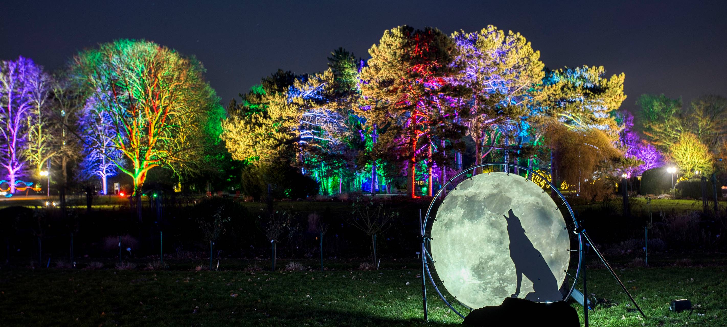 "Zoolichter" finden zum ersten Mal statt