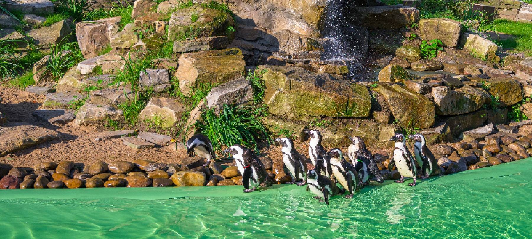 Foto: Zoo Duisburg / M. Appel