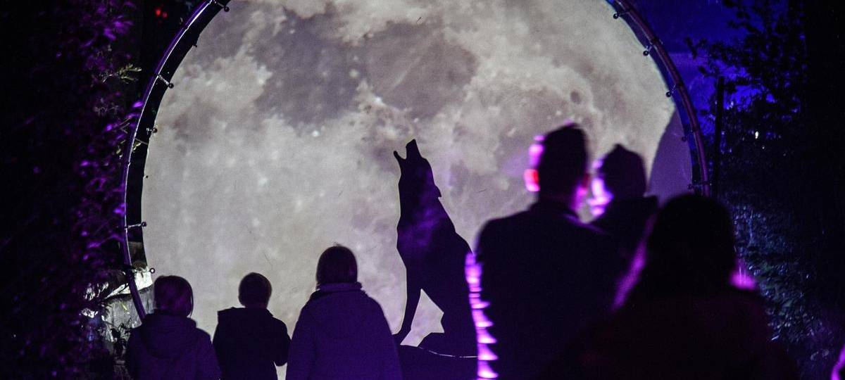Zoolichter: Lichtspektakel im Duisburger Zoo