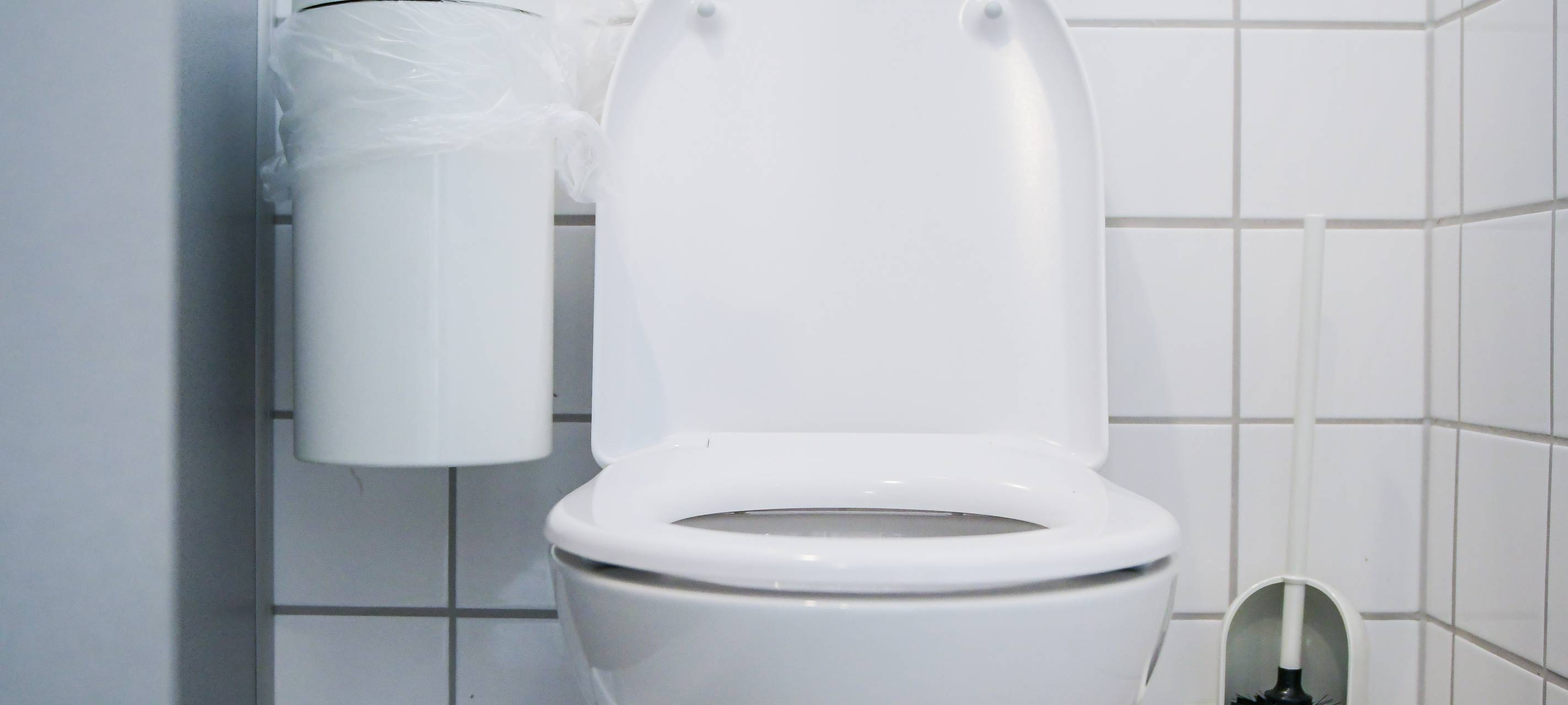 Mehrere Schultoiletten saniert