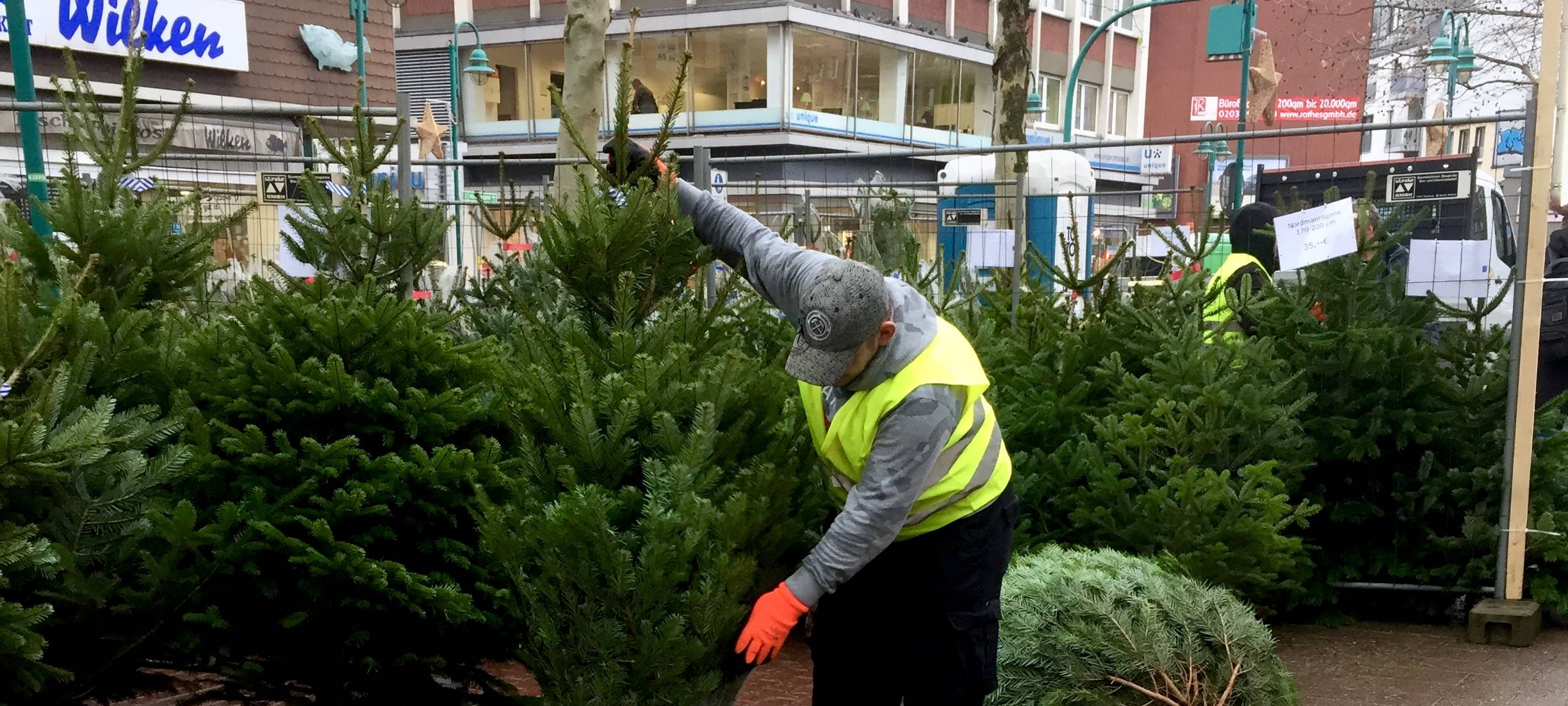 Weihnachtsbäume in Duisburg