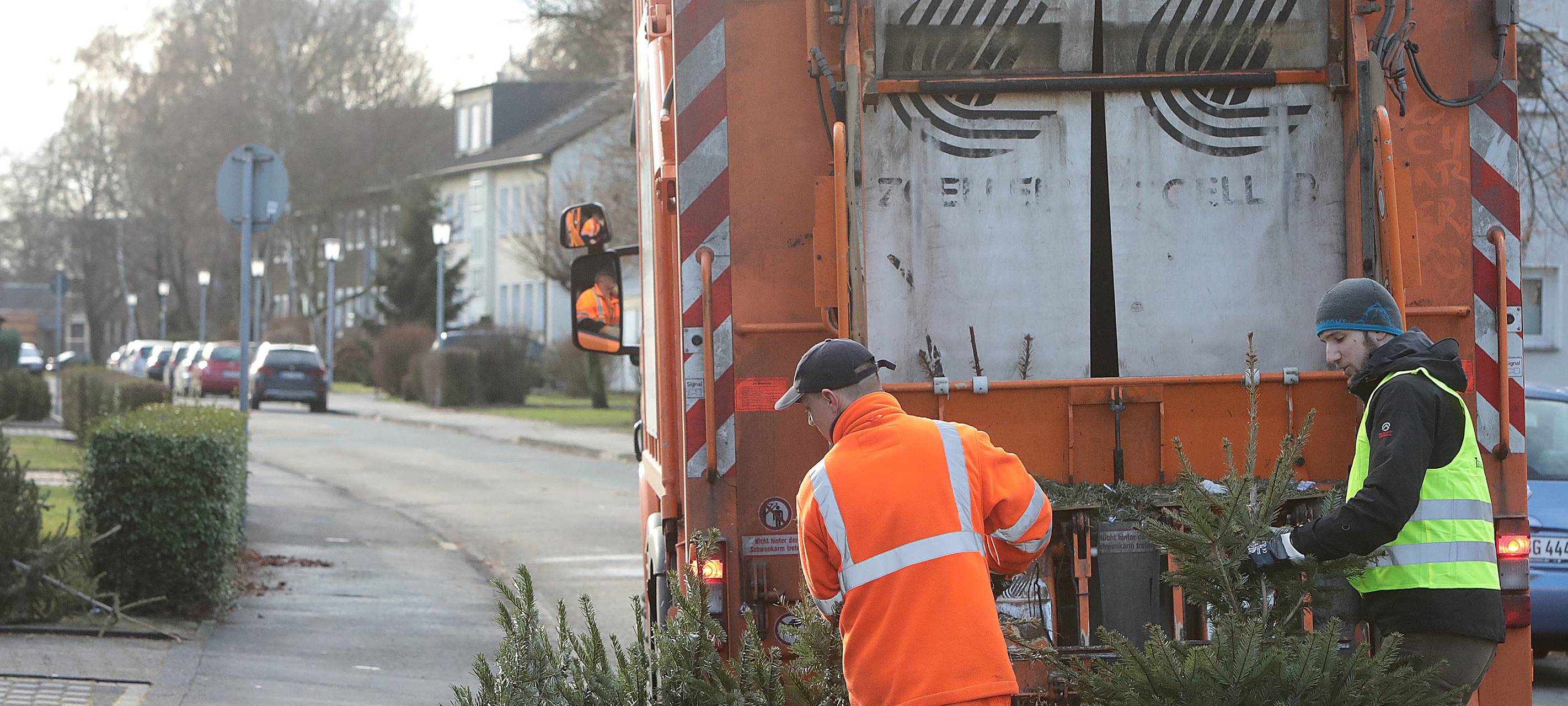 Dann werden eure Weihnachtsbäume abgeholt