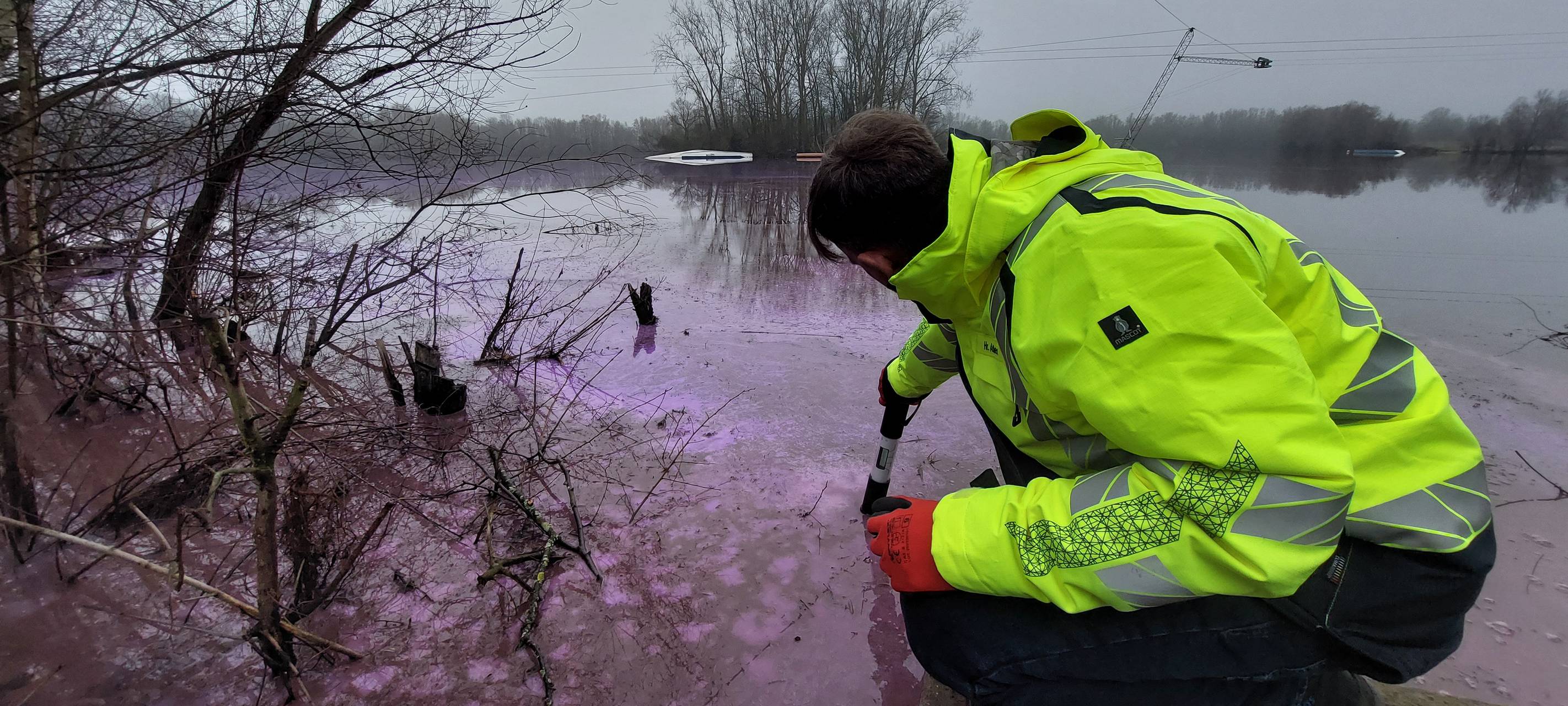 Burgunderblutalgen bleiben Problem in Duisburg