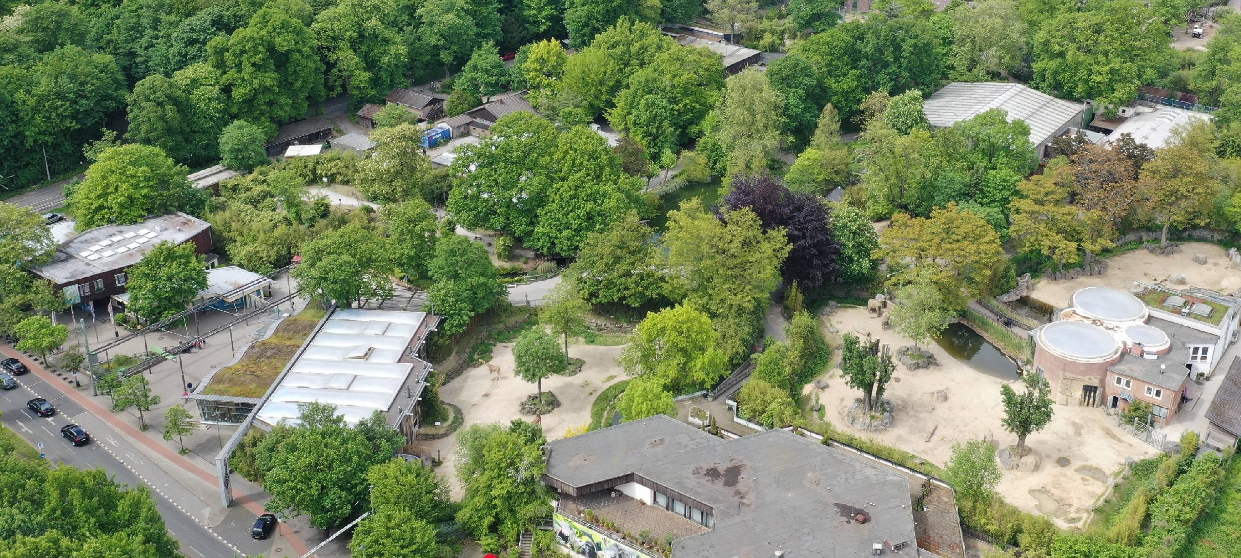 Abriss der Zooterrassen steht bevor