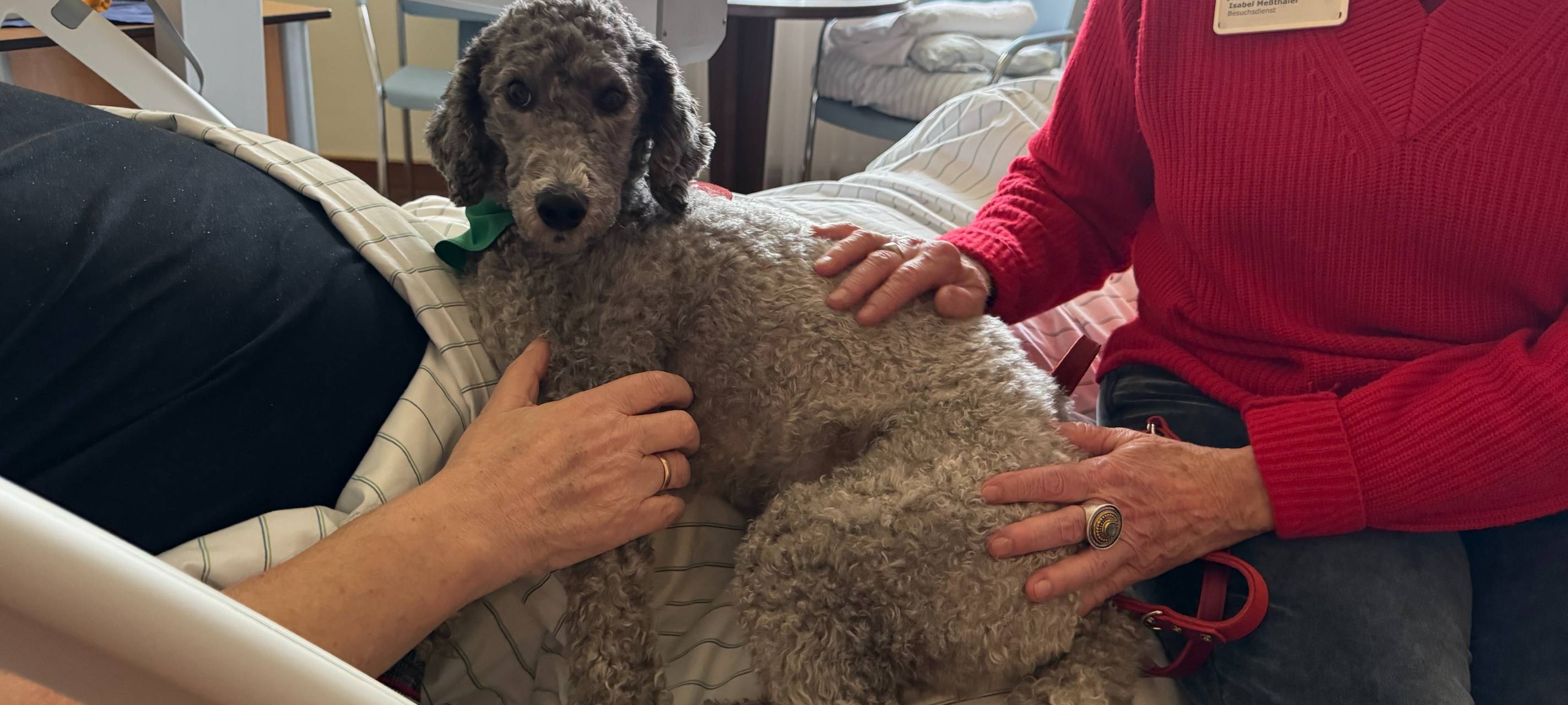 Tierische Unterstützung für Menschen am Lebensende