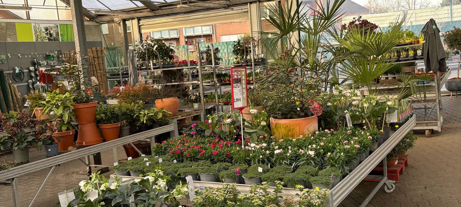 Frühling für Duisburgs Gärten