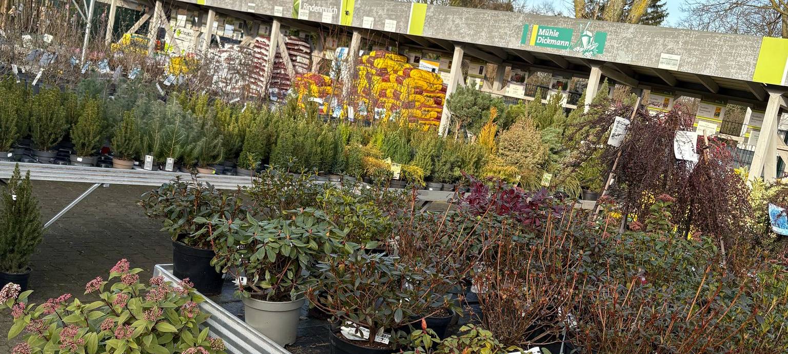 Frühling für Duisburgs Gärten