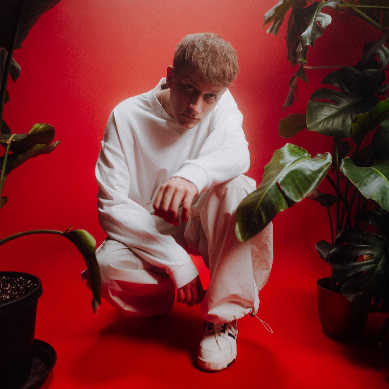 paavo in den Ruhrcharts!