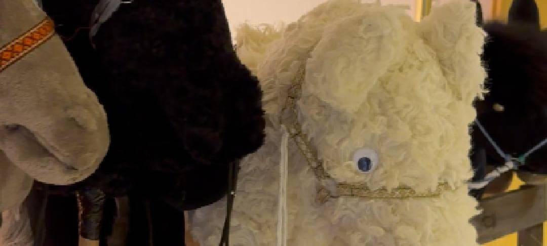 Eine Reihe Steckenpferde - Das sind die Sportgeräte beim Hobby Horsing