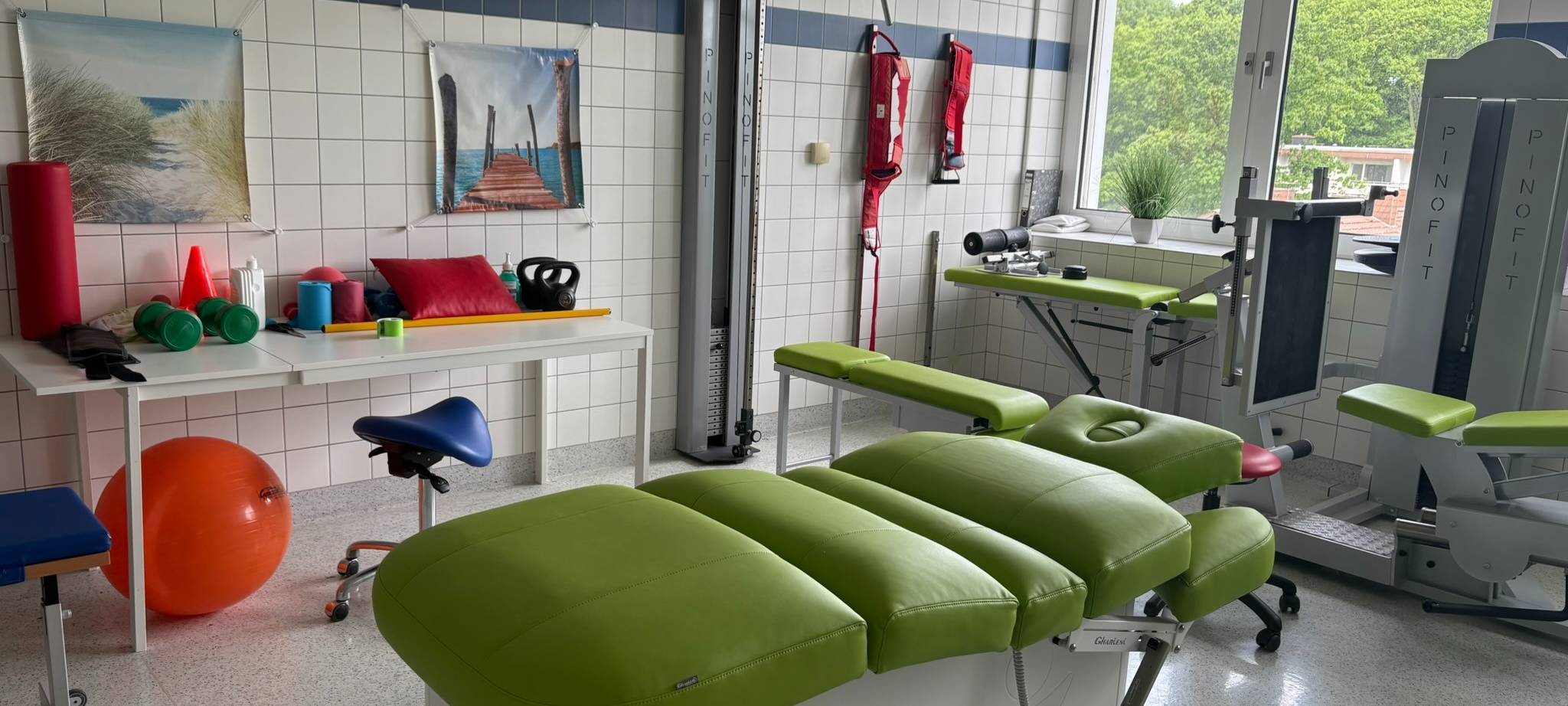 Vom Straßen- zum Therapiehund