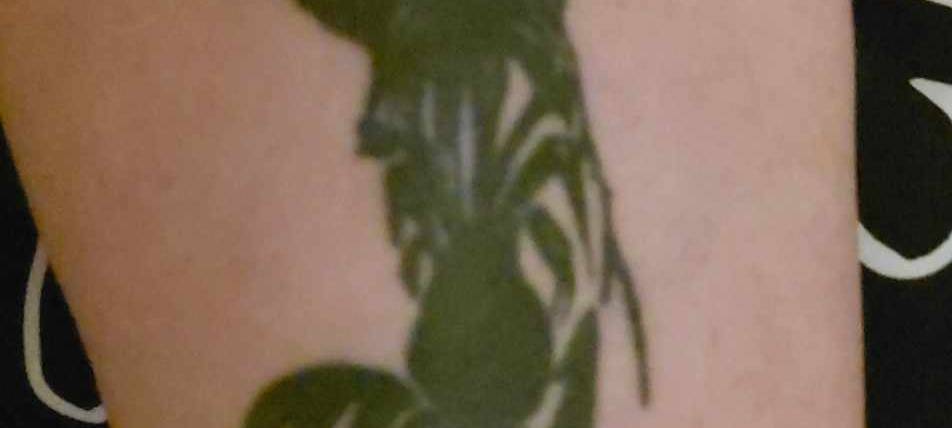 MSV geht unter die Haut