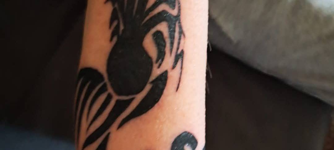 MSV geht unter die Haut