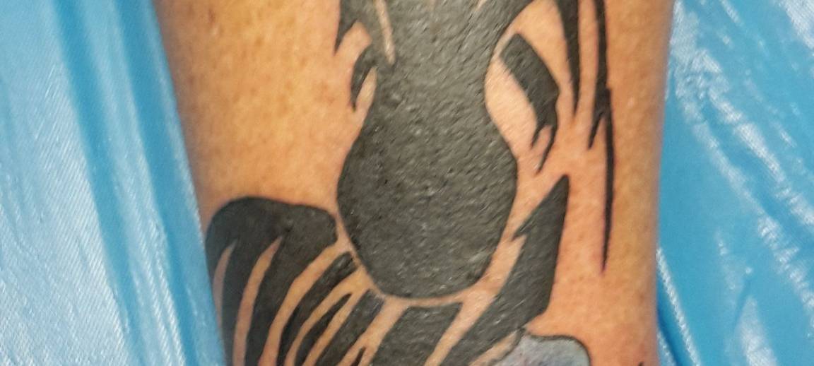 MSV geht unter die Haut