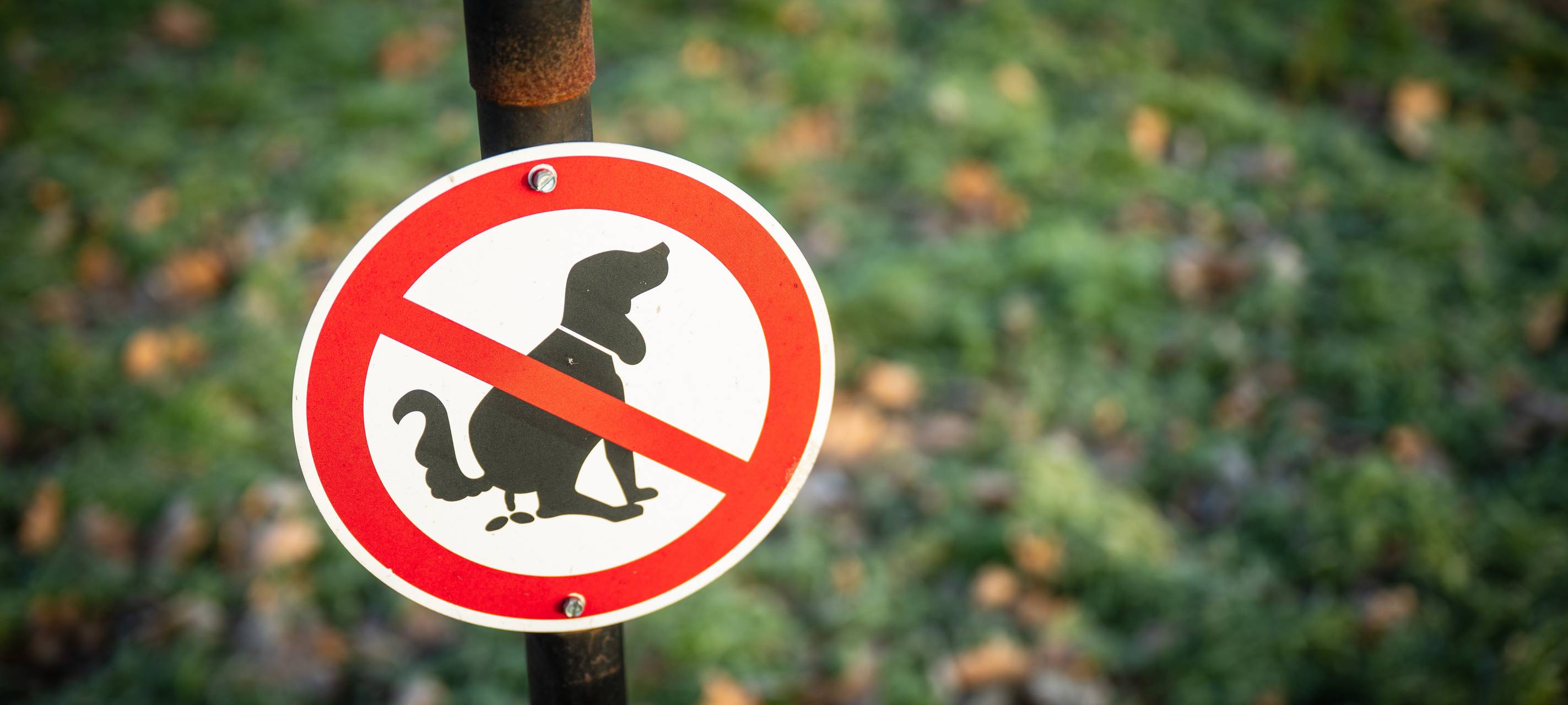 Hundekotverbotsschild auf einer Wiese