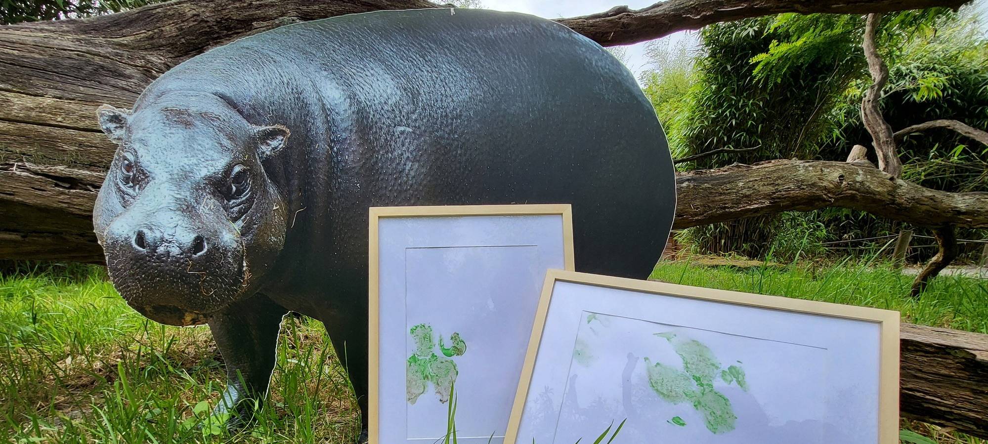 Das kreativste Outfit beim diesjährigen Zoolauf erhält zwei gerahmte Originalkunstwerke der Zwergflusspferde.