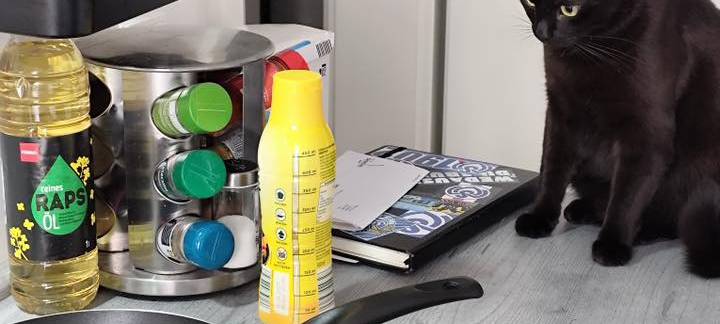 Katze sitzt beim Kochen daneben und guckt gespannt zu von Saskia.