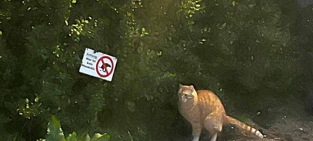 Kater Fred macht sein Geschäft neben einem "Hier ist kein Hundeklo" Schild von Herbert.