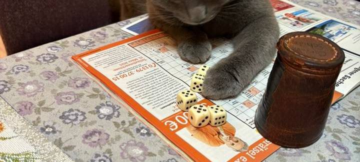 Katze spielt Kniffel von Carmen.