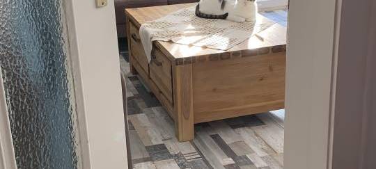 Katze sitzt auf dem Wohnzimmertisch von Fatma.