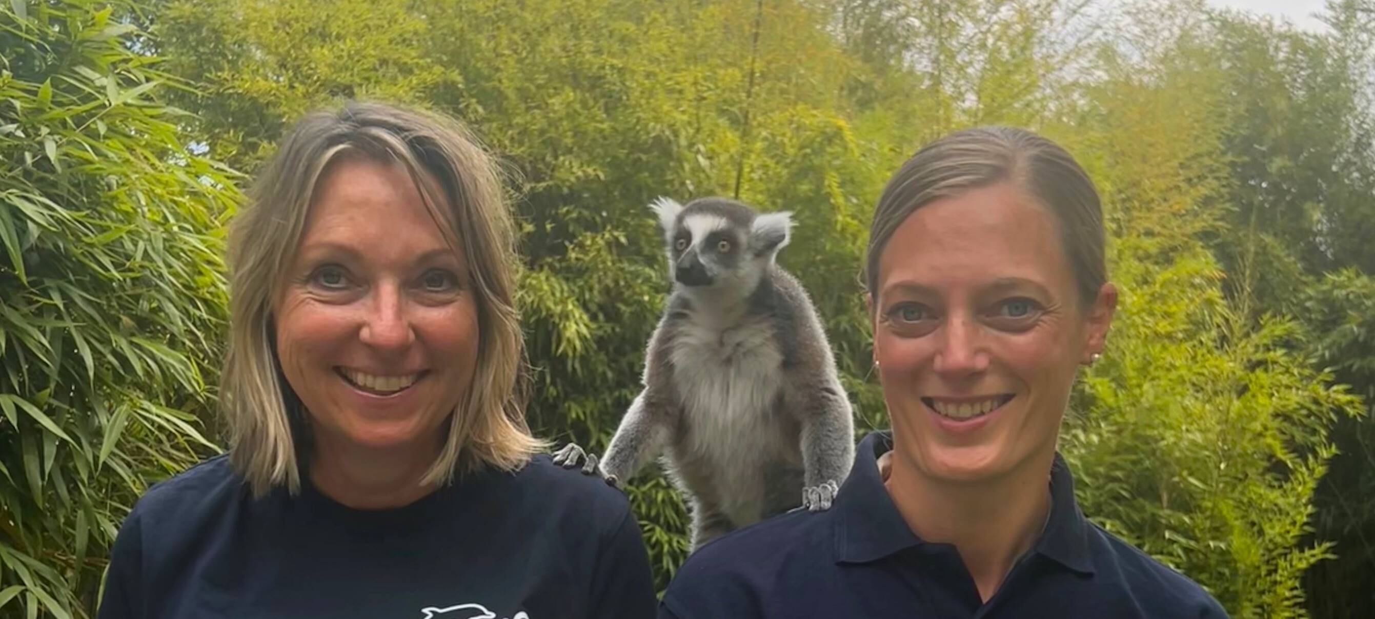 Zoo Duisburg: Neuauflage des Wimmelbuchs