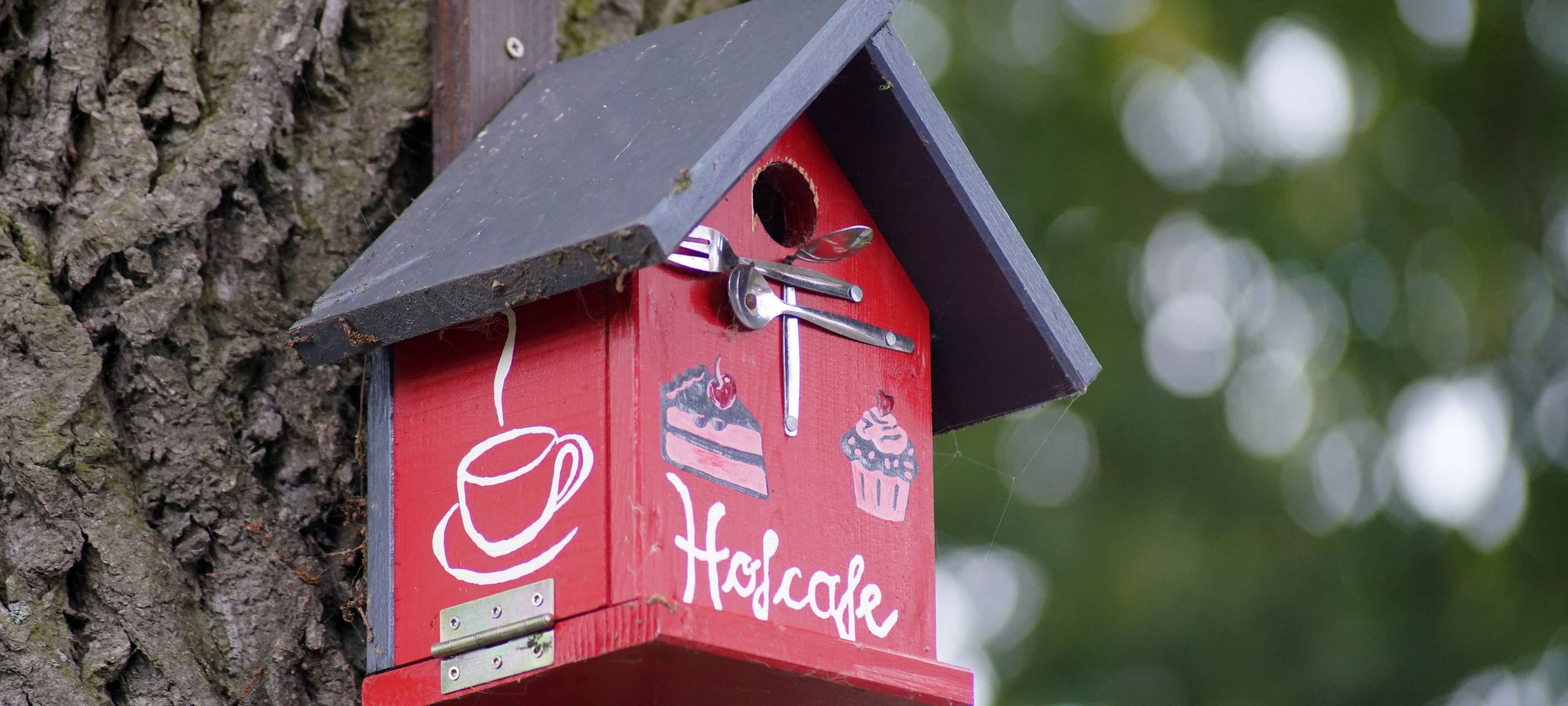 Vogelfutterstellen selber bauen