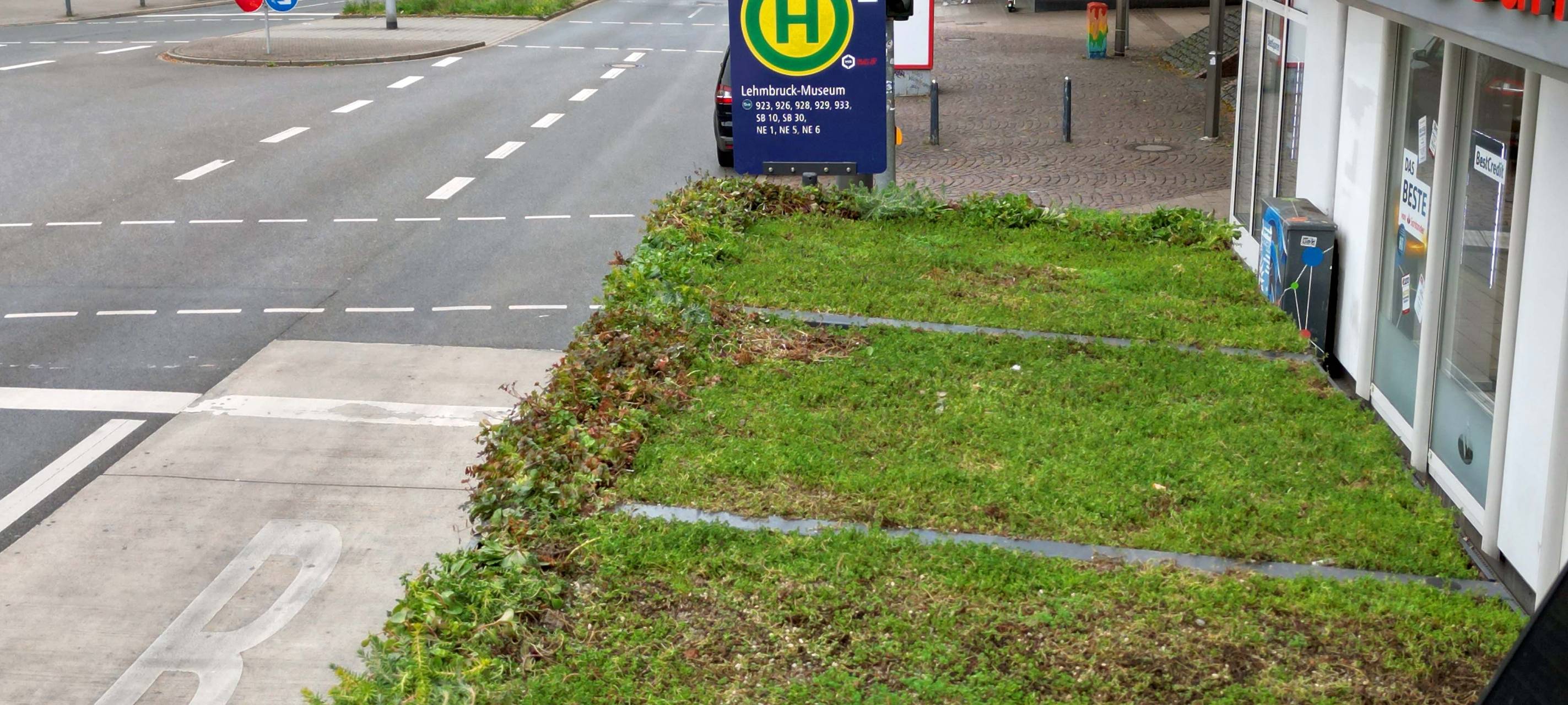 DVG: weitere Wartehäuschen als Minigärten