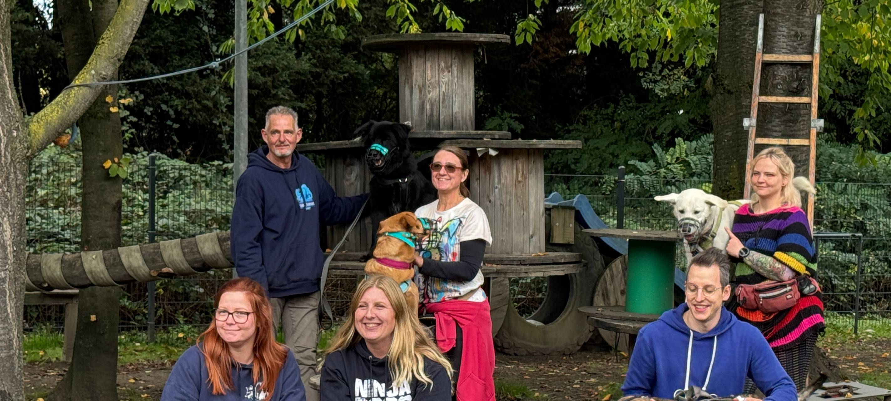 Tierheim-Hunde zeigen ihr Können beim Ninja-Dog-Training