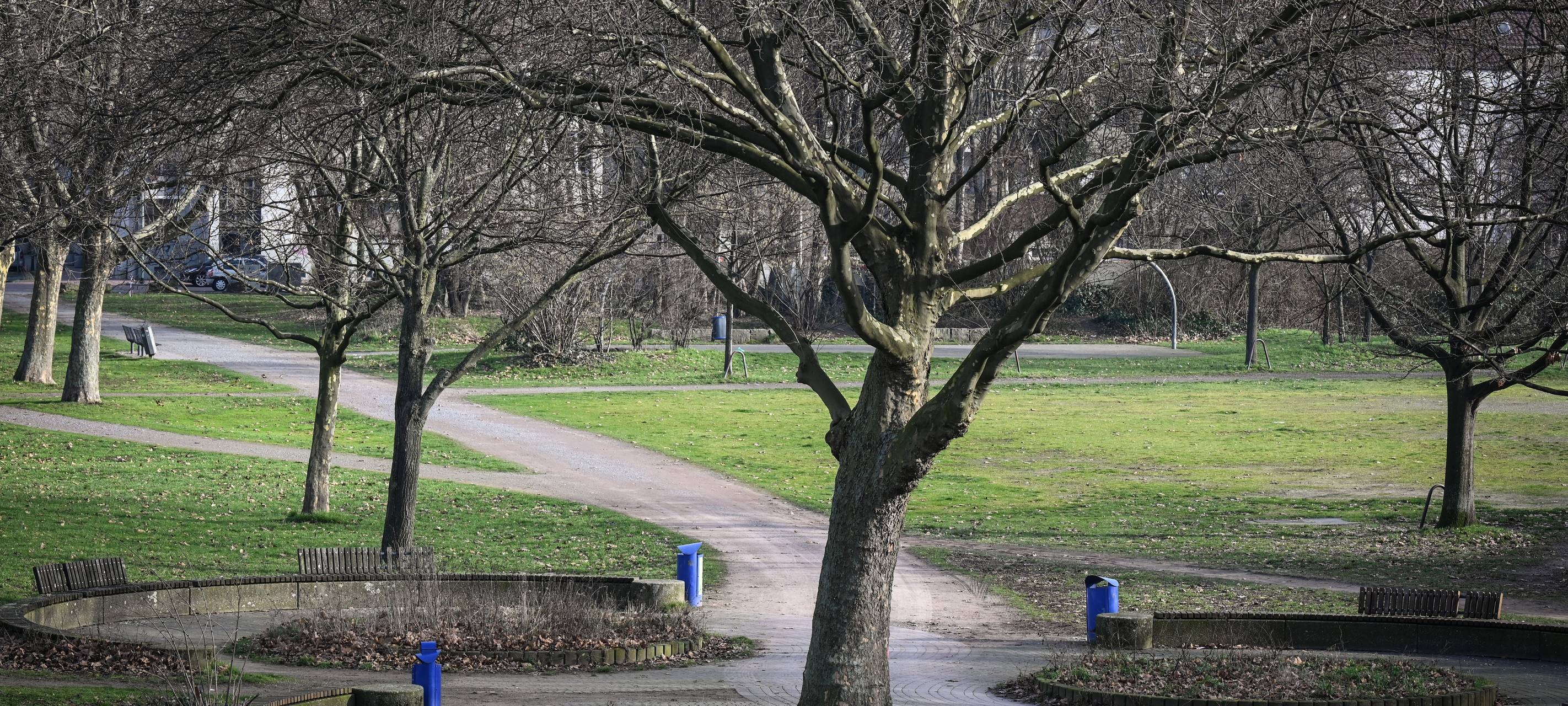 Hochfeld: Grüner Ring ab Montag gesperrt