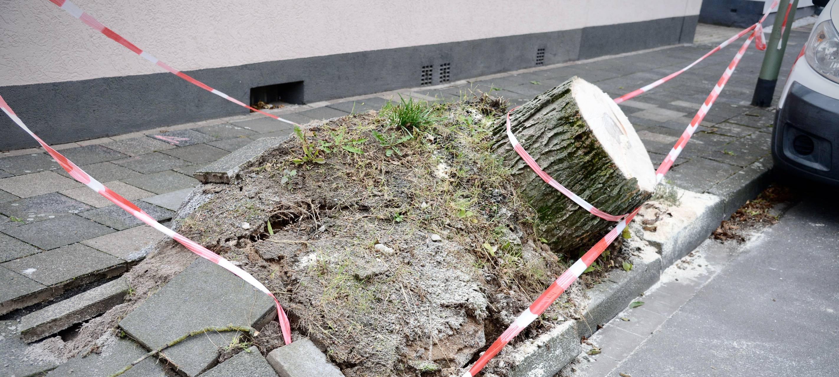Sturmwarnung für Duisburg-Süd: Windböen bis 80 km/h erwartet