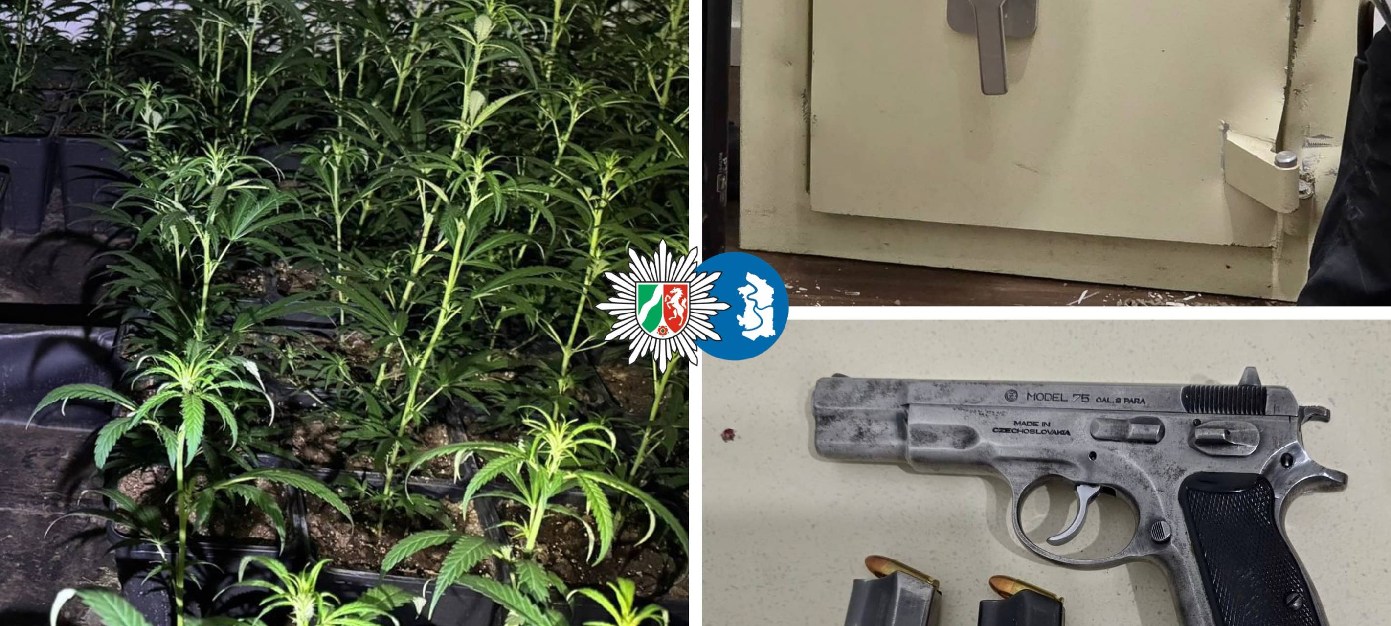 Großrazzia in NRW: Polizei hebt Marihuana-Plantage aus
